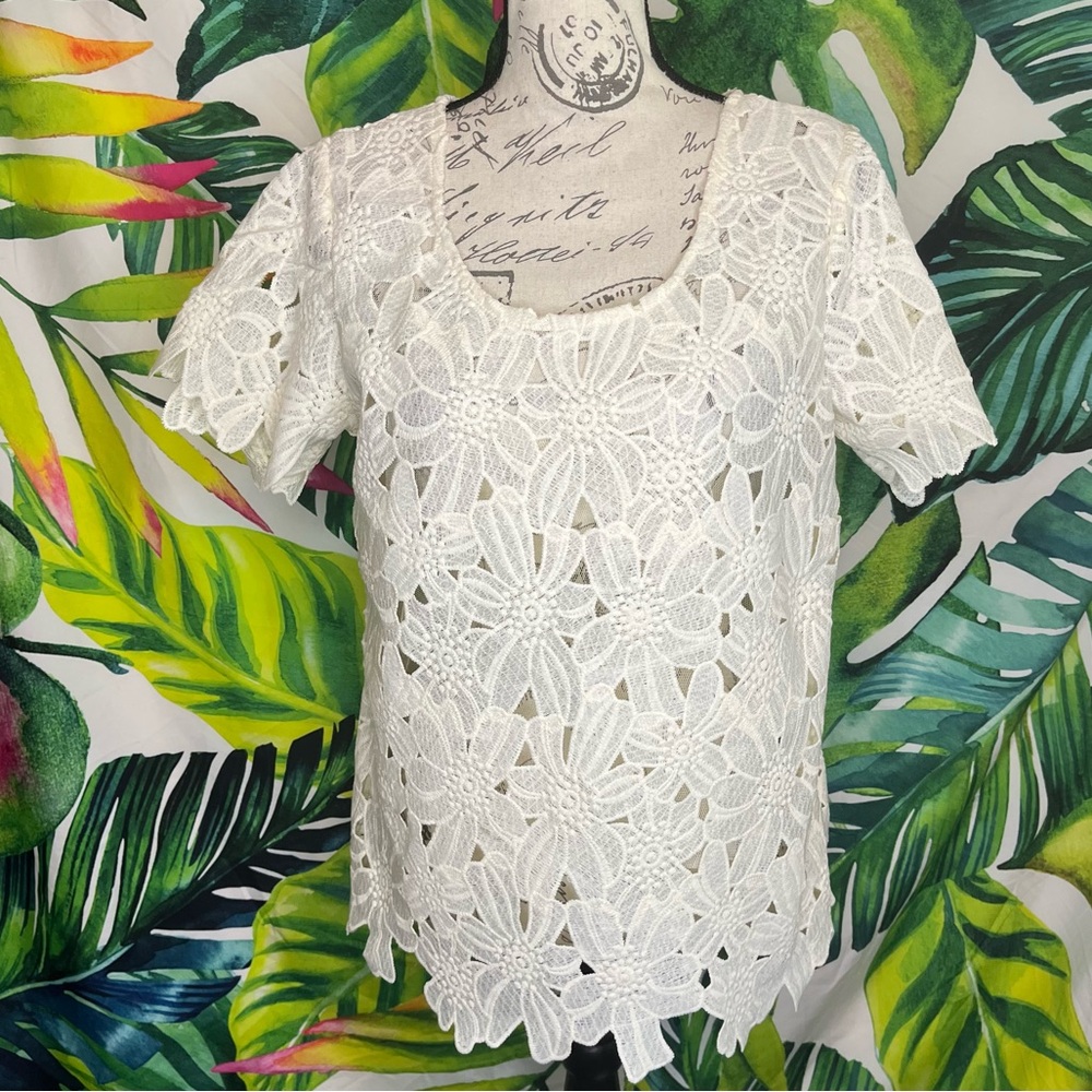 Japna Large Ivory Floral Sheer Office Bridal Boho Classic Spring Summer Blouse
